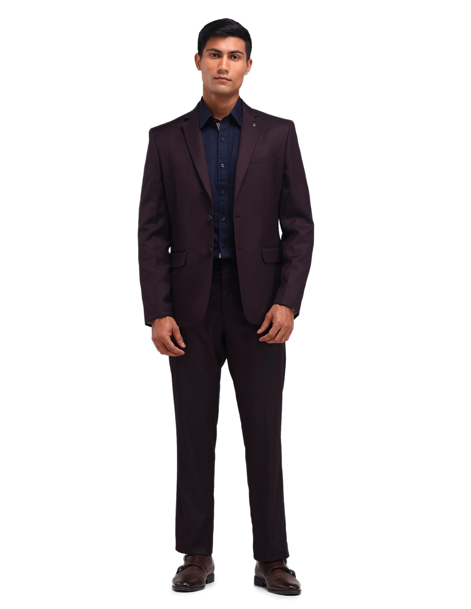 arvind Tailored Fit Two Piece Suit-picture-56