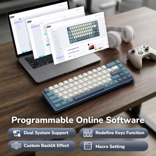 Image of RK ROYAL KLUDGE RK68 65% RGB Wireless Mechanical Keyboard for Gaming QWERTY | 68 Keys Compact TKL Tri-Mode BT /2.4G /USB-C Gaming Keyboards for Mac /Win, Hot Swap, Custom Switch, Software Support