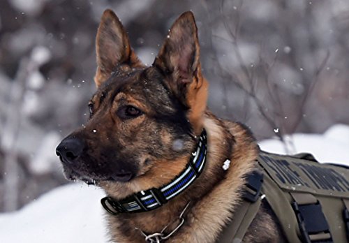 Dog Collar - Thin Blue Line (2 Styles Available) (Small, Stars & Stripes) #TOP1