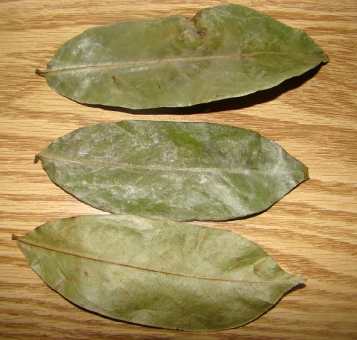 Omura soursop graviola guanabana Leaves Dried (250+ Premium Leaves)