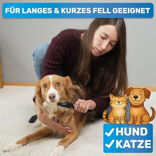 BluePet Flohkamm + Flohkarte Für Hunde & Katzen I Effktiv gegen Flöhe, Läuse & Zecken entfernen I Sanfte abgerundete Zinken I Als feiner Hundekamm, Staubkamm, Nissenkamm nutzbar