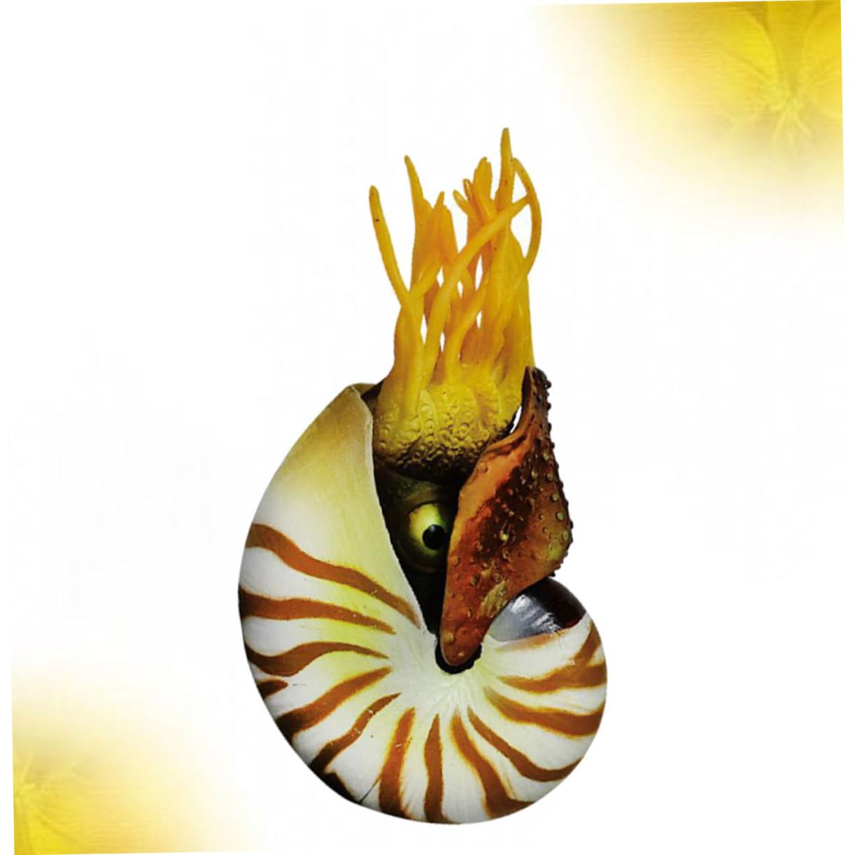ULTECHNOVO 2 Pezzi Decorazioni a Guscio Conchiglia Nautilus Arredamento di Conchiglie Decorazione di Grandi Dimensioni Conchiglie di Mare Conchiglie di Acquari Acquario
