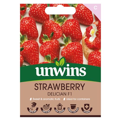Unwins Strawberry Seeds - Delician