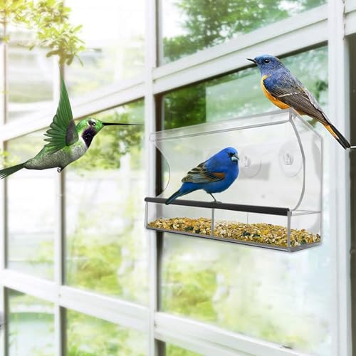 Mangeoire à oiseaux transparente pour vitre : observez sans les effrayer - 4