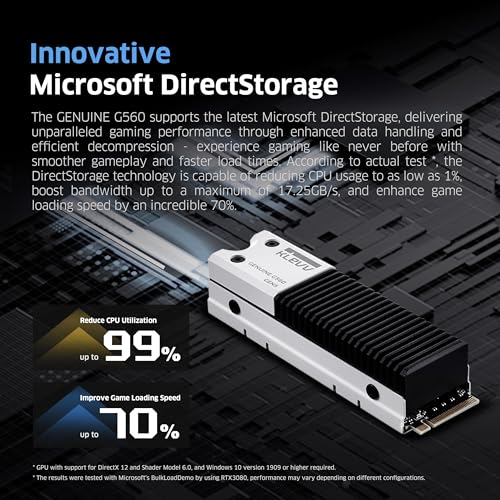 Image of KLEVV Genuine G560 1TB M.2 2280 NVMe PCIe Gen5x4 Internal SSD Heatsink Included, up to 13000MB /s with DRAM Cash (K01TBM2SP0-G56)