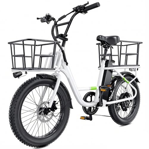 Flydone E Bike for Adults Electric Bike with Dual Cargo Rack, 48V 1000W Peak Ebikes for Adults, 7...