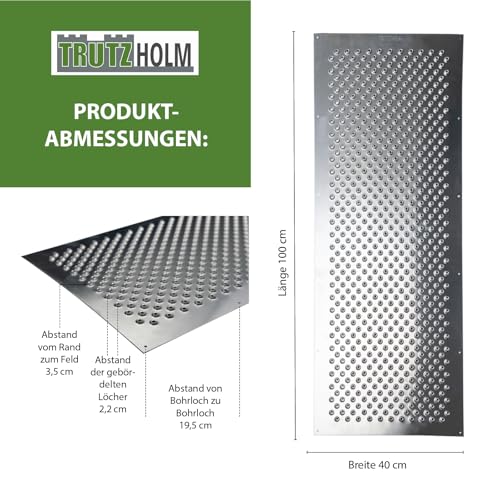 TRUTZHOLM Paar Lochblech Aluminium gebördelt 1000x400mm oder 1000x200mm (100 x 40 cm) (100 x 20 cm) 1,5 mm Stärke Trittsicherung Auffahrblech Schutzgitter (40 x 100 cm)