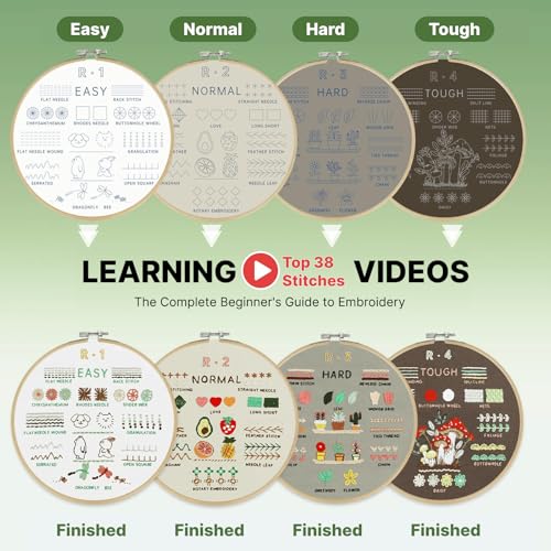 Image of Lecqizu Embroidery Kit for Adults, Beginner DIY Starter Set, 4 Pack, 33 Stitch Techniques