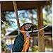 Kisangel 1set Bird Neck Training Chain for Parrots Collar for Safe Outdoor Training Lightweight and Portable Parrot Leash for Bird Owners