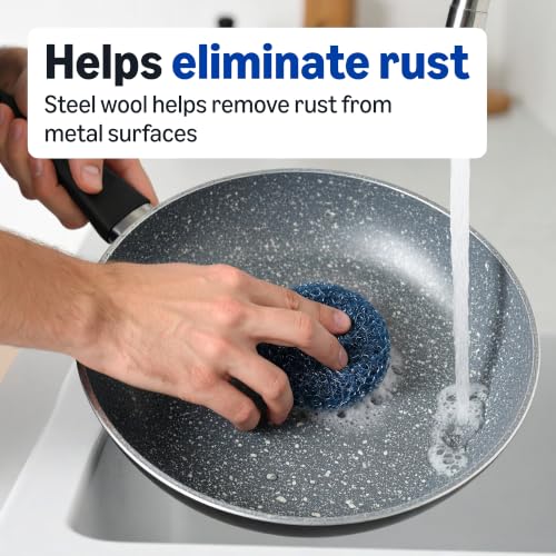 Image of Amazon Basics Steel Wool Soap Pads, Reusable, Cuts Grease and Removes Rust, 10 Count, Pack of 1