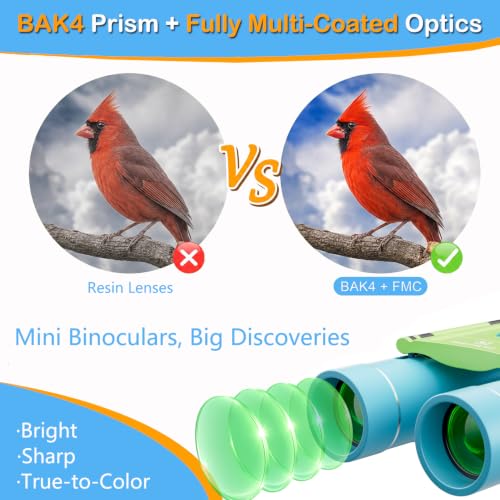 Binoculares compactos 10x25 para adultos y niños miniatura 2