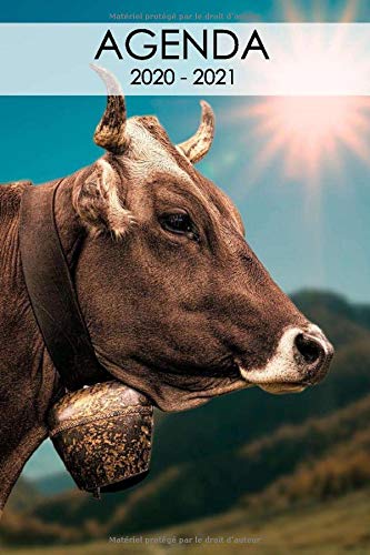 Télécharger Agenda 2020 - 2021: Agenda scolaire vache taureau bœuf cute mignon kawaii trés cool pour étudiant Francais PDF