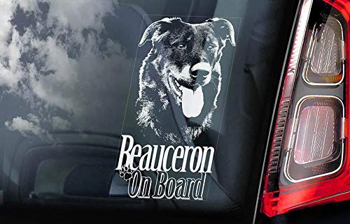 CELYCASY V01 Autocollant Beauceron on Board pour vitre de Voiture Motif Berger français