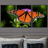 3 Piece Framed Canvas Wall Art Colorful Butterfly Insects Canvas Prints Home Artwork Decoration for Living Room,Bedroom - 16