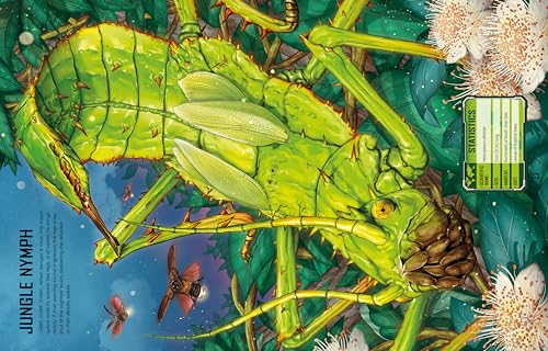 Build Your own Giant Bugs Sticker Book: Build and Customize Massive Creepy-Crawlies in this Interactive Sticker Book (Build Your Own Sticker Book) - Image 5