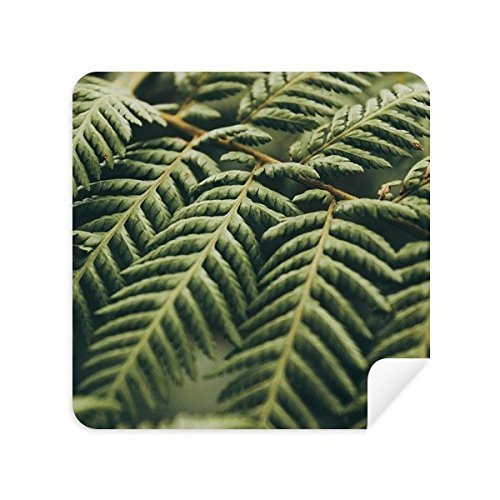 Suede tissu de nettoyage feuilles des plantes pour écran de téléphone et lunettes