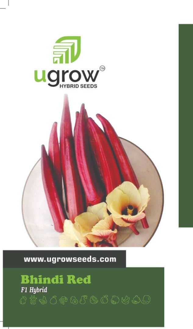 UGROW INDIA RED LADY FINGER (BHINDI) SEEDS (50 SEEDS/PACKET) (B09TH1CF6M) Amazon Price History, Amazon Price Tracker