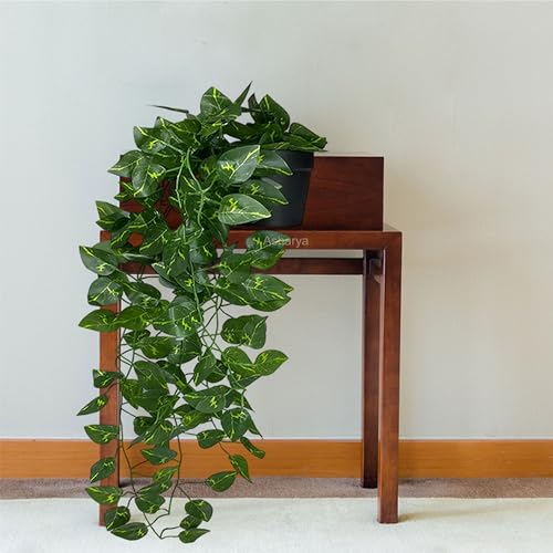 Asharya® Artificial Creeper Money Plant Garland (Pack of 1) | Indoor Wall Hanging | Home Decor | 30 Leaves | Fake Leaf Bail for Living Room, Main Door Wall, Balcony, Entryway and Tample Decor (8feet) Asharya® Artificial Creeper Money Plant Garland (Pack of 1) | Indoor Wall Hanging | Home Decor | 30 Leaves | Fake Leaf Bail for Living Room, Main Door Wall, Balcony, Entryway and Tample Decor (8feet)