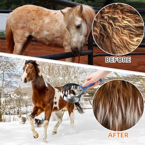 image for Kjsdn 4 Rings Reversible Stainless Steel Curry Comb - Double-Sided She