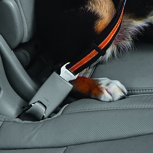 Kurgo Gurtschloss-Hundegurt fürs Auto, Kompatibel mit Tru-Fit Hundegeschirr, Von 38 cm auf 56 cm verlängerbar, Orange