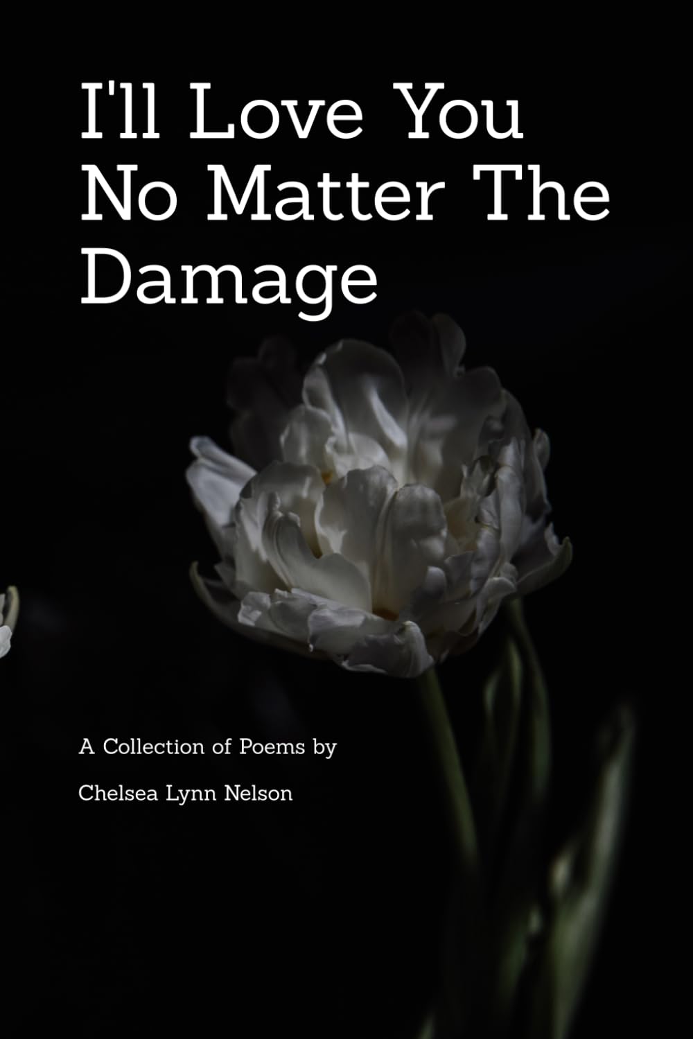 I'll Love You No Matter The Damage: A Collection of Poems