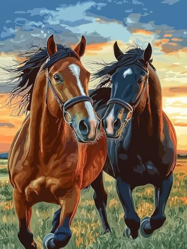 nyCgoCio[Lbg  GLbg lphGLoXNtg A[guVƃANG̋ DIYGoCH| |ph S qp ƒ̕Ǒ t[Ȃ60x80cm -1664