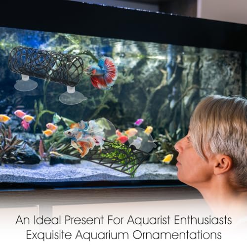 Image of 2Pcs Betta Fish Tank Accessories, Betta Tunnel & Hammock Aquarium Hideout, Bettas Fish Toys with Suction Cups Perfect for Hideout and Play Area, 3.9x2 Inch Platform, 3.9x1.6 Inch Tunnel(Black)