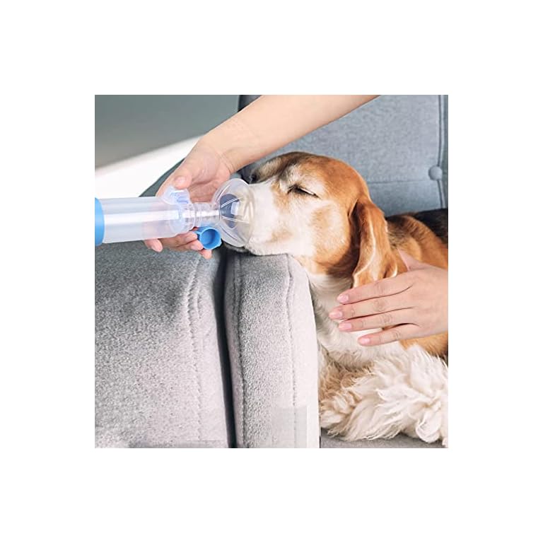Inhaler Chamber for Dogs Buy Online