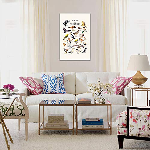 Impression oiseaux de prestige sur toile Alderney Animaux