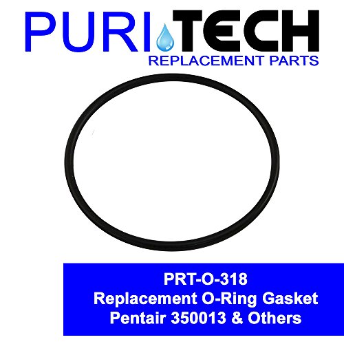 Pool Pump Lid O-Ring Replacement for Pentair Part 350013 for Challenger Pinnacle