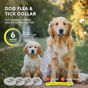 Dog Flea Tick Prevention Collar: Effective Flea Collar and Prevention for Dogs - Safe Dog Ticks Fleas Collars - Reliable Tick Flea Collars for Dogs - 24 Month Protection 4-Pack… Dog Flea Tick Prevention Collar Effective Flea Collar and Prevention for Dogs Safe Dog Ticks Fleas Collars Reliable Tick Flea Collars for Dogs 24 Month Protection 4 Pack
