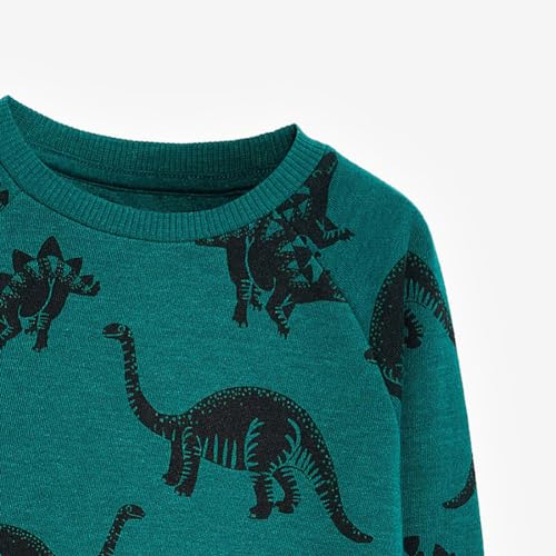 Boys Sweatshirts Long Sleeve Sweatshirts T-shirts Crew Neck Cotton Casual Sweatshirts Cartoon Tops for Boys-573