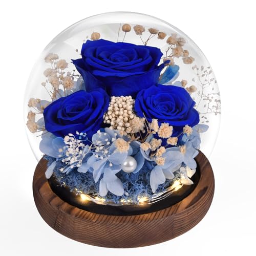 Beinhome Rosas reais preservadas feitas à mão com luz, presentes para mulheres mãe avó esposa irmã namorada, para aniversário dia dos namorados Natal dia da mãe