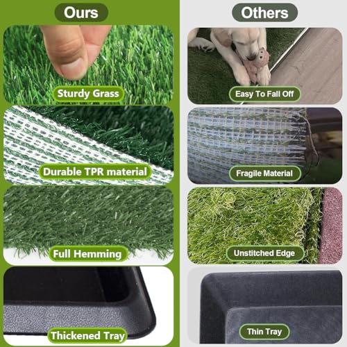 LITA Caixa de areia interna para cães para treinamento de animais de estimação, sistema penico (50 x