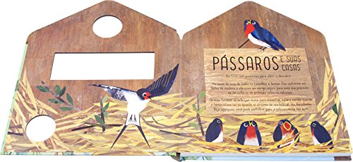 Pássaros e suas casas