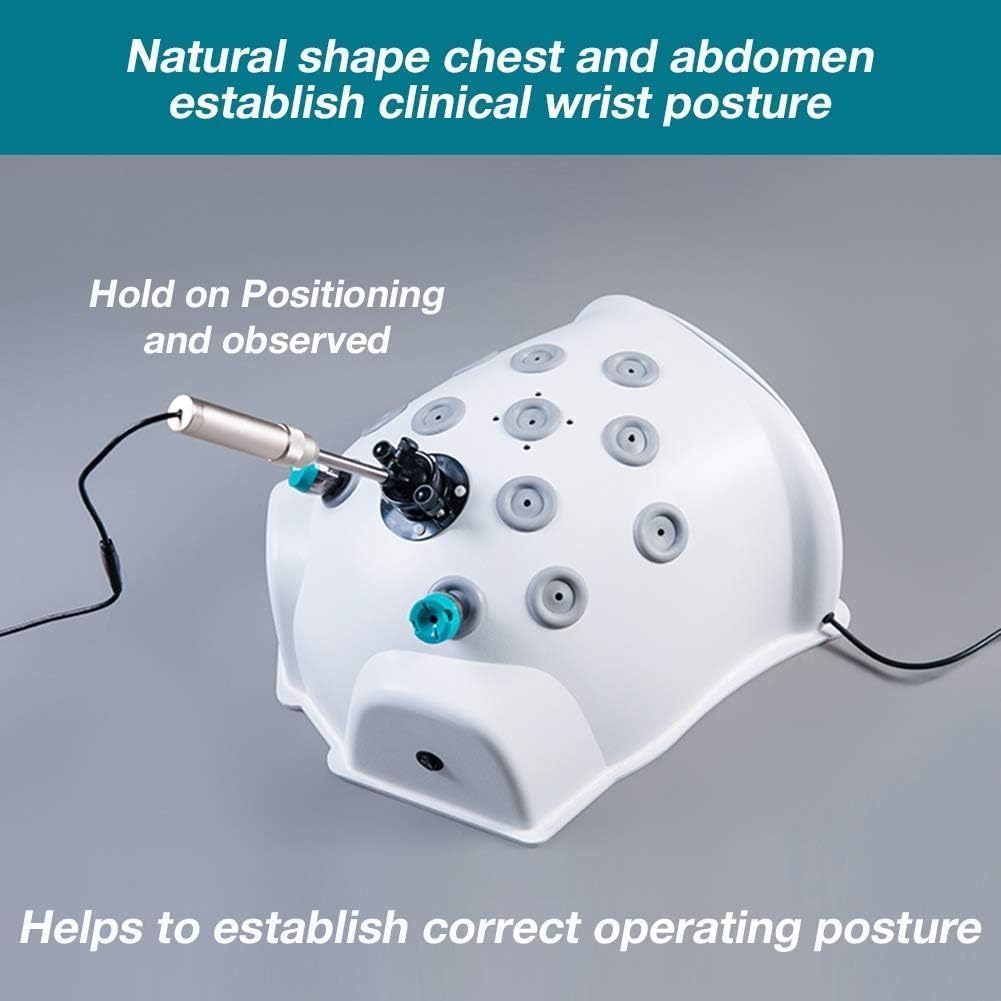 Laparoskopisches Trainingskitlaparoskopische Chirurgie Simulation Trainingsinstrumentsthorakoskopisches Trainingssetübungswerkzeuge0-Grad-Endoskope4 Chirurgische Instrumente9 Nahtmodule