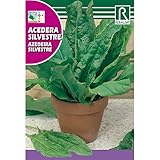 Semillas de Acedera silvestre