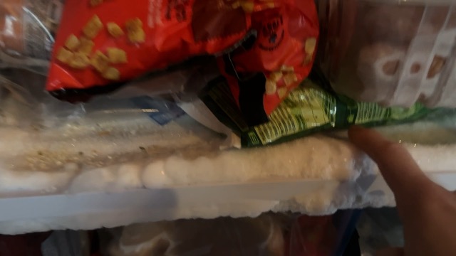 Honest Upright Freezer Review