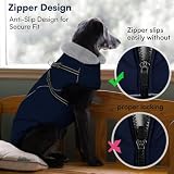Queenmore Hunde Wintermantel Wasserdicht, Hundemantel mit Geschirr 3-Schicht Ausführung Reflektierend, Hundejacke Winter für Riesenrassen Labrador/Husky/Golden Retriever(Marineblau, 2XL)