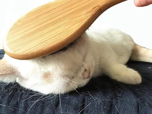 Patina Haustier-Pflegebürste, natürliche Bambus-Borsten, Bürste für mattierte Kurz- und Langhaare, Hunde und Katzen, sanfte und einfache Fellpflege, Massage