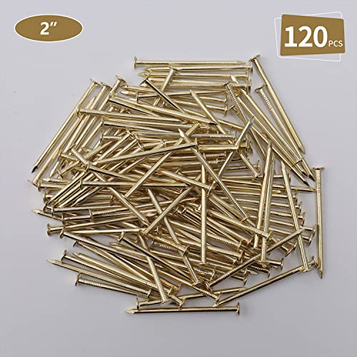 Image of JEGONFRI 120PCS 2 inch x 13Ga Brass Plated Nails for Hanging Pictures &Woodwork | Premium Carbon Steel Construction, Flat Head, Rust-Resistant Finish, Smooth Surface, Versatile Use For DIY And Repairs