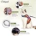 Cat Harness and Leash for Walking Escape Proof Air Mesh Fabric Outdoor Walking Vest with Reflective Strips for Cute Cats and Small Dogs (S, Pink)