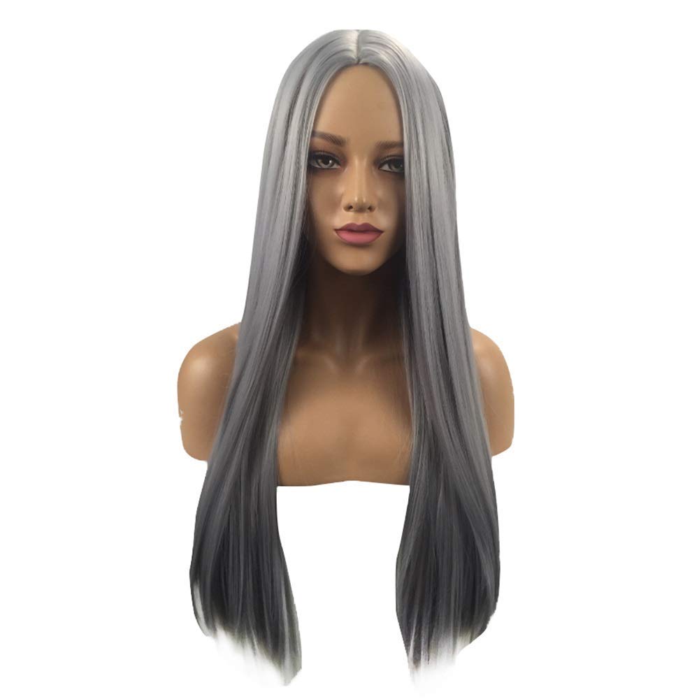 Perruque cheveux longs raides 70 cm dégradé argenté pour femme moderne
