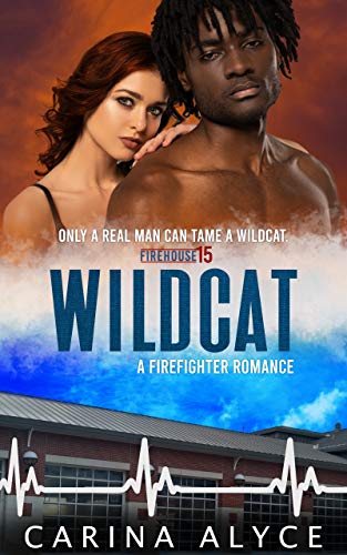 Wildcat: A Strong Woman Firefighter Romance (MetroGen After Hours Book 1) by [Carina Alyce]