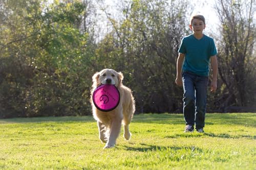 Hyper Pet 49302 Flippy Flopper 9 Inch Flying Disc Soft Dog Toy thumb #7