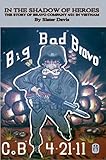IN THE SHADOW OF HEROES: THE STORY OF BRAVO COMPANY 4/21 IN VIETNAM