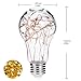 Decorative Light Bulb, DORESshop 2 Pack A19 E26 2W Vintage Edison Light Bulbs Led Decorative Antique Filament Bulbs, 15W Equivalent Starry Lights for Pendant Light Fixtures Bedroom Living Room