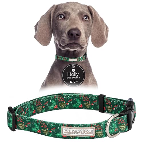 Lucky Love Dog Collar for Medium Dogs Cute Adjustable Soft – Holly, Medium