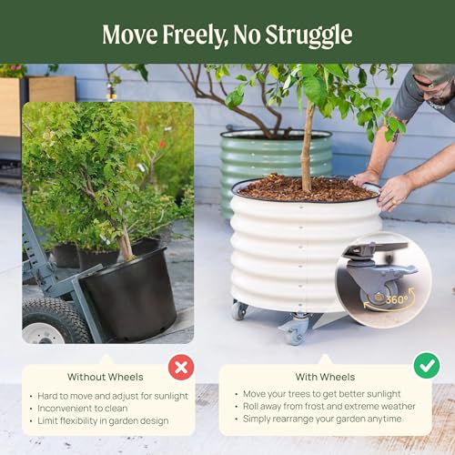 Image of Rolling Metal Citrus Tree Planter Pot, 24″ Round Planter Box for Porch Patio & Backyard, 30 Gallon Large Planter Pot with Wheels for Growing Olive Trees Tomatoes Vegetables and Flowers, Modern Gray