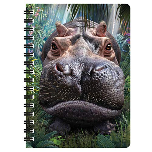 3D LiveLife Libreta - El encuentro de Deluxebase. Libreta pequeña A6 con espiral, lenticular 3D de hipopótamo y hojas lisas reciclada. Ilustraciones con licencia del reconocido artista David Penfound